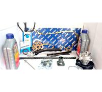 Kit chaîne de distribution Point 13 Multijet + pompe + sangle avec chaîne mod...