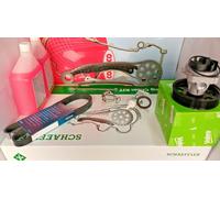 Kit De Chaîne De Distribution INA 1.3 MULTIJET FIAT Punto/500/Panda 559181740