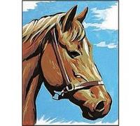 Kit compet Canevas - 14x18cm - Tête de cheval Multicolore G