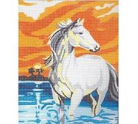 Kit Complet Canevas Cheval Dans L'eau (012) Mercerie Couture Enfant Broderie Confection