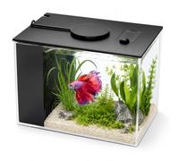Kit complet d'aquarium nano Betta de 3,7 l en acrylique avec filtre, pompe d'éclairage LED, pour petits poissons, crevettes, plantes, bureau, chambre à coucher, 20 x 15 x 15 cm