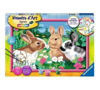 Kit complet de Peinture au numéro - Numéro d'art - grand format - Lapins dans le pré - Ravensburger