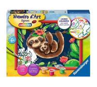 Numero dart - moyen format - Paresseux - - Kit complet de Peinture au numero - Des 9 ans