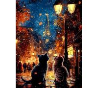 Kit Complet De Peinture Diamant Chat Tour Eiffel Mosaïque Diamant Paysage Animalier Cadeau Fait Main 30 * 40CM