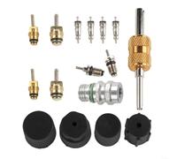 Kit complet de remplacement de noyau de valve AC avec tiges en laiton pour systèmes R12 R134a avec outil de retrait à double extrémité et joint de protection