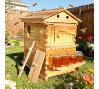 Kit complet de ruche avec système d'extraction automatique du miel pour l'apiculture de jardin, style cabane