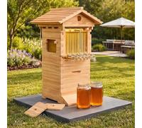 Kit complet de ruche d'abeille pour débutant, boîte en bois avec fenêtre d'observation et robinet à miel, comprend un abri pour abeilles de charpentier pour les jardins respectueux des pollinisateurs