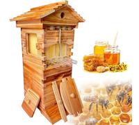 Kit Complet De Ruche Flows Hive - Ruche Automatique
