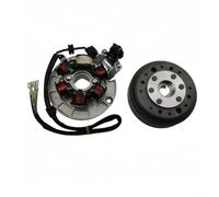 Kit complet de stator et de volant d'inertie pour moteur horizontal de 140 cc avec mécanisme de démarrage manuel pour véhicule tout-terrain, générateur magnétique, puissance de sortie constante et