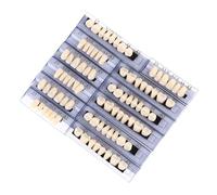 Kit complet d'étude des dents avec 168 formes de dents en résine pour exercices pratiques et fournitures scolaires odontologiques