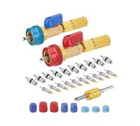 Kit complet d'extraction de valve de climatisation automobile avec coupleurs rapides bicolores pour R134a et R12, y compris dix noyaux R134a, dix noyaux 5v1 et huit joints toriques pour une réparation