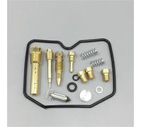 Kit Complet pièces Rechange réparation carb Kit De Réparation Carburateur pour Kawasaki KLR250 1987-2005 : Joints D'étanchéité, Diaphragme, Pointeau D'huile(Couleur1)