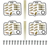 Kit Complet pièces Rechange réparation carb Kit De Réparation Carburateur pour Moto pour XR650R 2000-2007 : Vis Trou, Aiguille Clapet D'huile Et Clip(Couleur2)