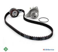 Kit Courroie de Distribution+Pompe à Eau INA Peugeot 206 207 307 Citroen C2 C3