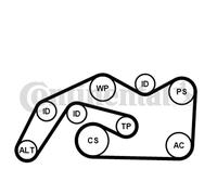 KIT COURROIE STRIÉE MULTIPLE EN V VW 2.7TDI/3.0TDI AUDI