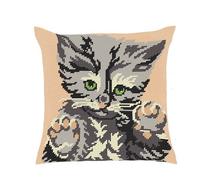 Kit Coussin Demi-Point Chat