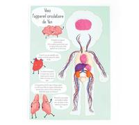 Kit créatif pâte à modeler - Je découvre le corps humain