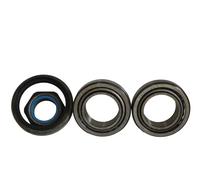 Kit Cuscinetto Roue Pour Ford SKF VKBA 740
