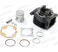Kit Cylindre 50 CCM pour MINARELLI Debout