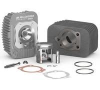 Kit cylindre en fonte Malossi D 43 boulon 10 CVF