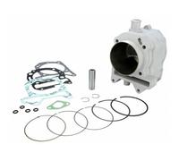 Kit Cylindre MALOSSI Sport 282 CCM pour Piaggio Moteur de 300 IE 4T LC