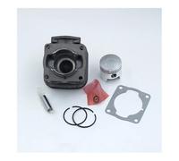 Kit Cylindre-Piston de 39 mm for débroussailleuse T200 2, Outils de Jardinage, pièces de Rechange for Gazon