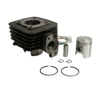 Kit cylindre-piston P2R CYLINDRE SCOOT ADAPTABLE PEUGEOT 50 LUDIX ONE-TREND-SNAKE-CLASSIC, VIVACITY 2T 2008+, KISBEE 2T 2013+, CITYSTAR -P2R FONTE PREMI