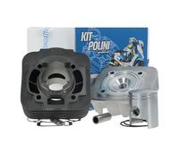 Kit cylindre POLINI Sport Piaggio 50 Ccm pour filetage (Long), DIESIS, Fly, Free, Liberty, NRG mc2, MC3, S, Storm, TPH, Zip Base SSL Sfera, Vespa, Et2, LX, LXV, Gilera Stalker, Easy Moving, Ice, Derbi, Atlantis (à partir de 2002), Boulevard, Bullet 50