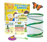 Kit d' elevage de papillons - Insect Lore