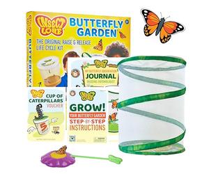 Kit d' elevage de papillons - Insect Lore
