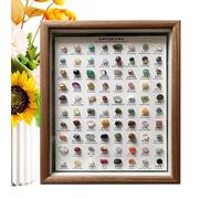 Kit d’Identification Minérale 80 Spécimens - Coffret de Roches et Cristaux Naturels avec Boîte en Bois | Cadeau Éducatif pour et Adultes | Collection Pierres, Décoration Maison, Étude Géologie