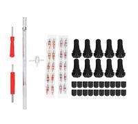 Kit d’outils d’installation de tiges de valve de pneu, ensemble de démontage et d’installation de tiges de valve de pneu avec extracteur à noyau en acier et bobines en cuivre, pour