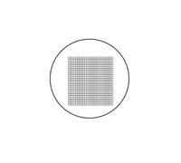 Kit d'accessoires pour microsc Lame d'étalonnage de microscope à grille C6 de 19 mm, 20,4 mm, 24 mm de diamètre, division de 0,2 mm, oculaire en verre optique, micromètre for microscope Lames de micro