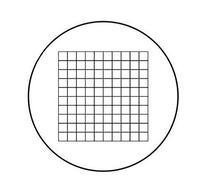 Kit d'accessoires pour microsc Règle de Verre en Verre Optique Net for Microscope biogolique 23.2mm Diamètre 19mm Lames de Microscope (Color : MS-1-H)