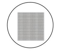 Kit d'accessoires pour microsc Règle de Verre en Verre Optique Net for Microscope biogolique 23.2mm Diamètre 19mm Lames de Microscope (Color : MS-1-P5)