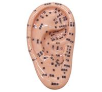 Kit d'acupuncture des graines d'oreille, kit 'ensemencement à oreille douce comprenant un modèle de 5, 1 pouces, image, graines 'éducation à l'acupuncture pour les enfants apprenant