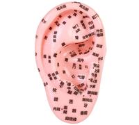 Kit d'acupuncture des graines d'oreille, modèle 'oreille élastique en PVC avec gravure à acupoint claire, intuitive et précise pour l'acupuncture, l'hôpital, le modèle scolaire