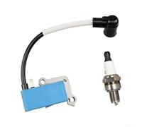 Kit d'allumage pour Echo PB-8010 PB-9010 A411001870 | Remplace A411001870, compatible avec PB-8010H/T, qualité stricte, construction en plastique et métal, 1 paquet