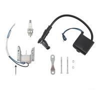 Kit d'allumage pour magnéto Stator Spark 49 cc 66 cc pour vélo motorisé | Améliore le démarrage, l'étincelle fiable, s'adapte à 49 cc-80 cc, fonctionnement fluide en 2 temps, finition noire