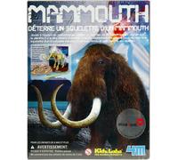 Kit DAM/4M enfant Archéologie Dinosaure Mammouth