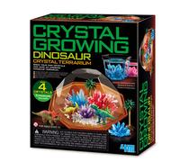 Kit Dam Terrarium Cristal Dinosaure