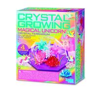 Kit Dam Terrarium Cristal Licorne