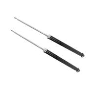 Kit D'Amortisseurs Arrière Paire DX-SX Adapté Pour FORD Fiesta V Et MAZDA 2