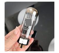 Kit d'amplificateur à Tubes Audio HiFi EL34 EL34C 6CA7 6P3P 6L6, Mise à Niveau DIY(2pcs Matched Pair)