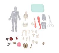 Kit d'anatomie du modèle du Corps Humain Qui Brille dans Le Noir, Organes Amovibles, Outil d'apprentissage interactif pour Enfants, étudiants, éducation Scientifique, matériau ABS