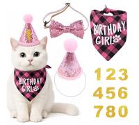 Kit d'anniversaire pour Chat Rose, Chapeau d'anniversaire avec Bandana, Nœud Papillon et Accessoires de Chiffres, Décoration de Fête et Costume pour Chats, Chatons et Animaux de Compagnie