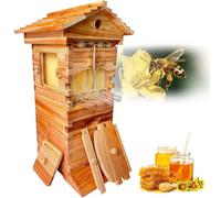 Kit d'apiculture pour débutants, Ruche Flow Hive, Ensemble