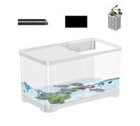 Kit D'aquarium - Petit Aquarium | Kits De Démarrage pour Aquarium avec Pompe À Air | Petit Aquarium De Bureau | Kit Décoratif pour Aquarium d'eau Salée | Aquarium De Poissons Créatif avec Panier pour