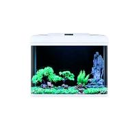 Kit D'aquarium Rectangulaire En Verre De Petite Taille, Aquarium De Bureau Avec Éclairage LED Multicolore, Pompe-filtre Silencieuse 3-en-1 Et Kit Complet De Décoration Paysagère(82x35x58cm)