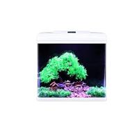 Kit D'aquarium Rectangulaire En Verre De Petite Taille, Aquarium De Bureau Avec Éclairage LED Multicolore, Pompe-filtre Silencieuse 3-en-1 Et Kit Complet De Décoration Paysagère(31.7x21x35cm)